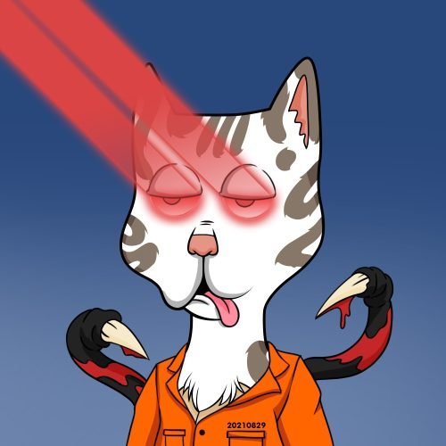 Boss Cat Rocket Club 6565 Boss Cat Rocket Club