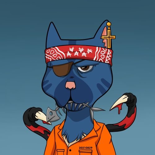 Boss Cat Rocket Club 7236 Boss Cat Rocket Club