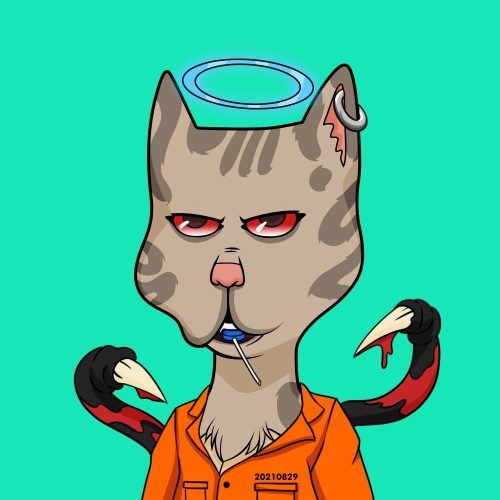 Boss Cat Rocket Club 882 Boss Cat Rocket Club